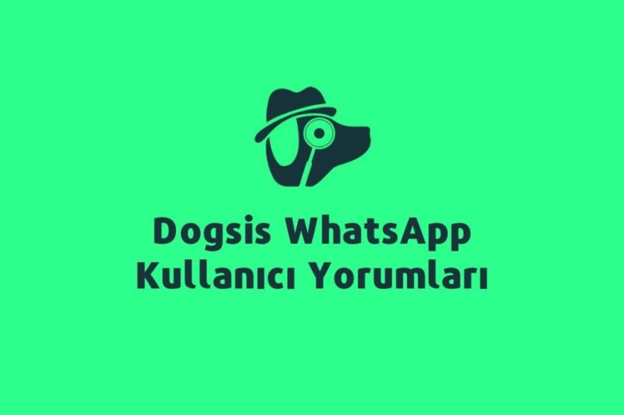 Dogsis WhatsApp Takip Uygulaması