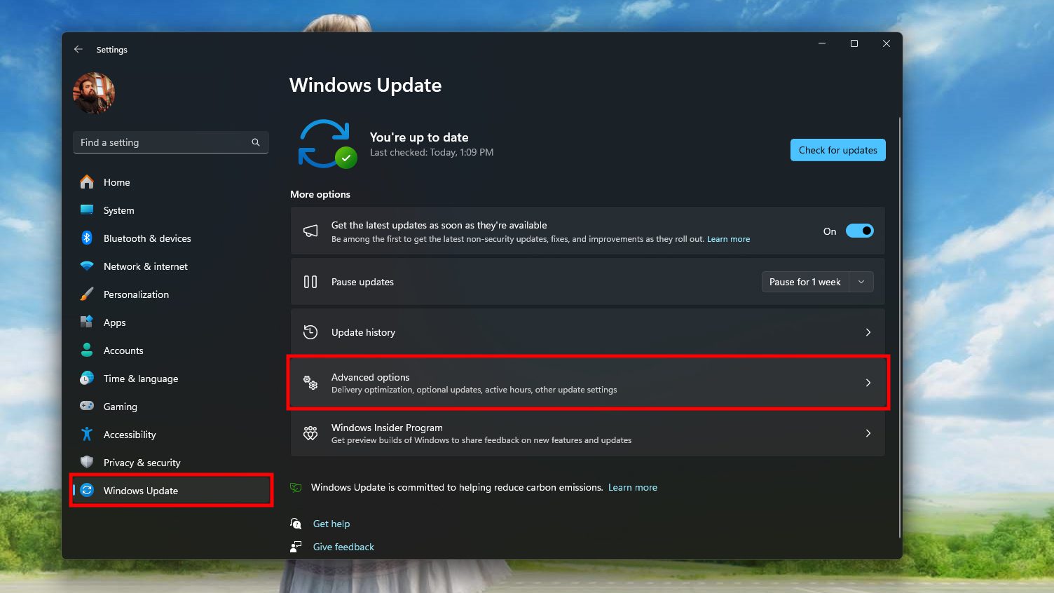 Windows 11'i sıfırlayın (1)