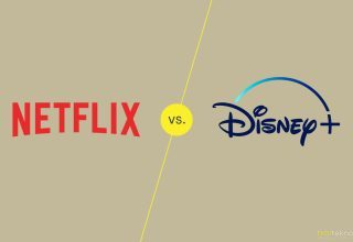 Netflix Mi Disney Plus Mı? (Detaylı Analiz)