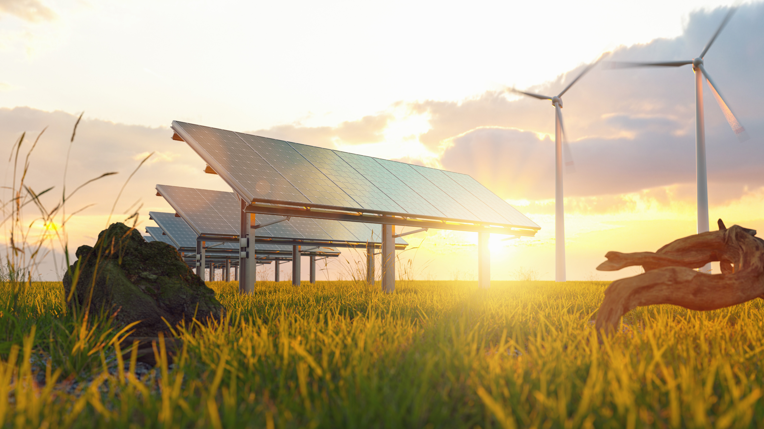 Doğal Işık Kaynakları: Yaşamın ve Enerjinin Temeli