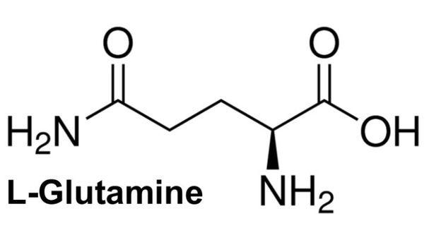 l glutamin molekul