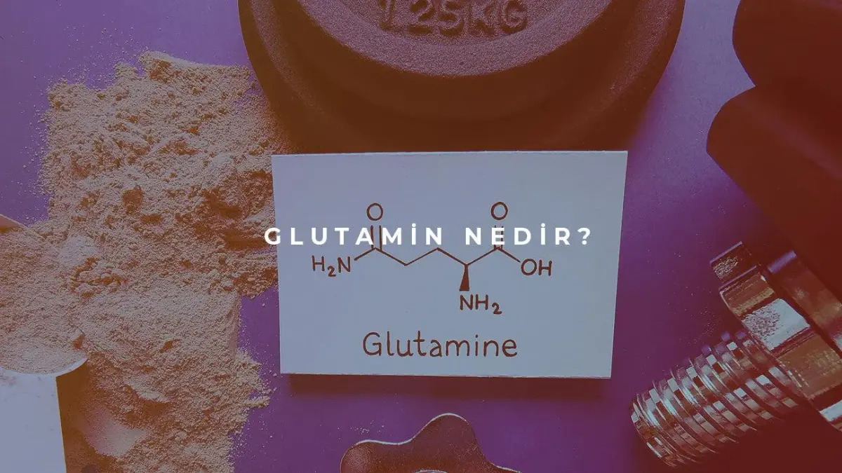 glutamin-nedir-glutamin-yararlari-ve-kullanimi-detail-d