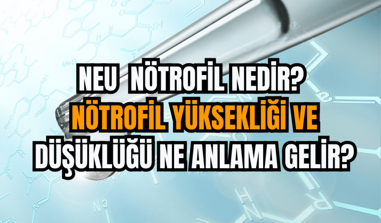 Nötrofil Yüksekliği Ne Anlama Gelir?