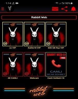 Rabbit Web’in SEO İçin Önemi: Neden Bu Kadar Önemli?