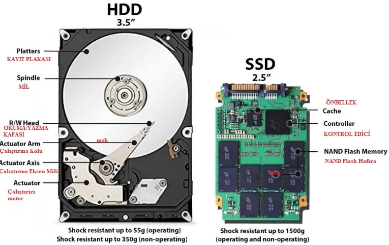 SSD ve HDD Arasındaki Farklar Nelerdir? Hangi Depolama Birimini Seçmeliyim?