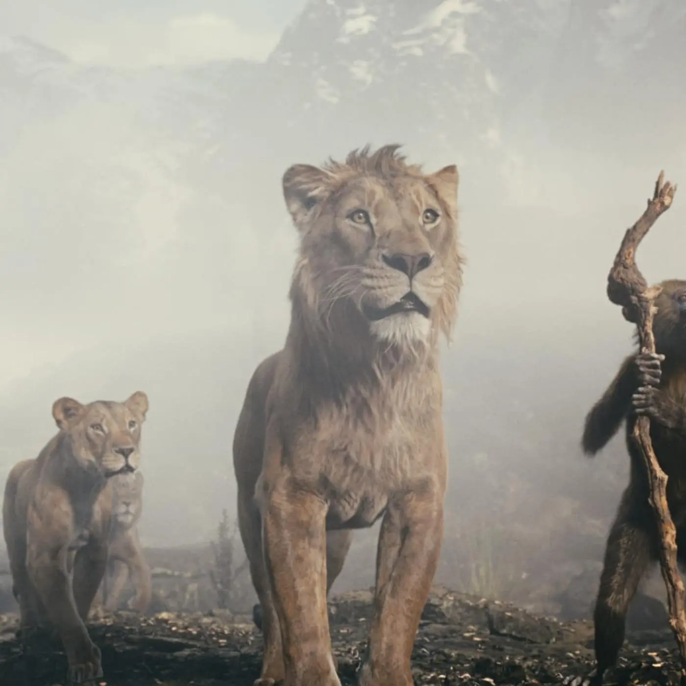 Disney, Aslan Kral Evrenini Yeni Bir Canlı Aksiyon Filmle Genişletiyor