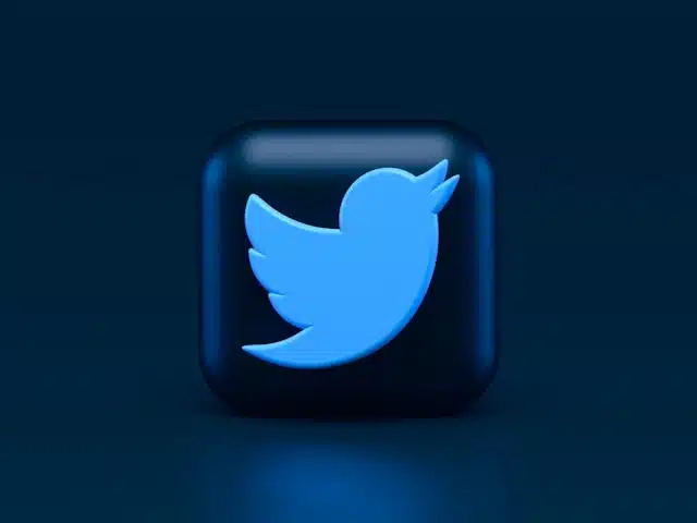 Twitter-Kus-Logo-Resmi