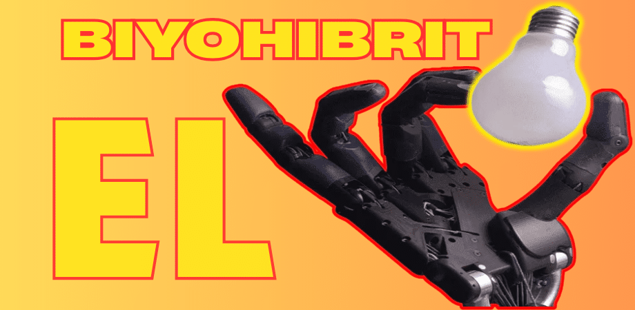 biyohibrit-1