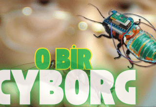 Cyborg Hamamböcekleri: Doğa ve Teknolojinin Sınırlarını Zorlayan Biyohibrit Devrim